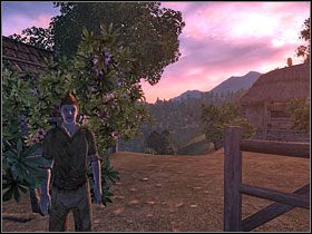 Jak się okaże, nie musisz wcale z nim walczyć - Oblivion: Inne (4) - Misje - The Elder Scrolls IV: Oblivion - poradnik do gry