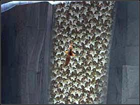 Kontynuuj podróż - WATERPARK 02 | Epoka Lodowcowa 2 Odwilż - Epoka Lodowcowa 2: Odwilż - poradnik do gry