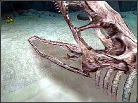 W paszczy dinozaura schowany jest kolejny orzech włoski - GLACIER 03 (cz.2) - Epoka Lodowcowa 2: Odwilż - poradnik do gry