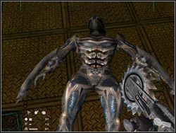 9 - Bestiariusz | Neuro Hunter - Neuro Hunter - poradnik do gry