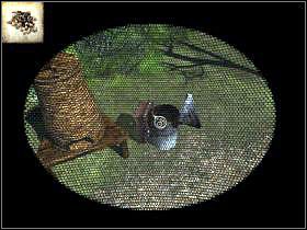 [43] - Pierwsze spotkanie z Madamme | 23 wrzesień | The Secrets of Da Vinci - The Secrets of Da Vinci: Zakazany manuskrypt - poradnik do gry