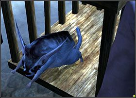 Dziewczyna zawraca więc na targowisko i tam zauważa, że boczna alejka nieopodal chodzącego w kieracie dziwacznego bydlątka jest pilnie strzeżona - Markuria | Rozdział 4 - Zima w Dreamfall The Longest Journey - Dreamfall: The Longest Journey - poradnik do gry