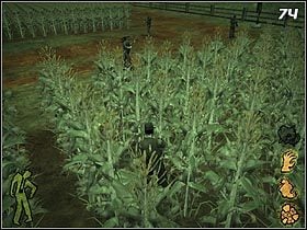 Zacznij od wejścia w pole kukurydzy po Twojej prawej stronie i posuwaj się w kierunku domu (#74) - Fall of the House of Otis (1) | Solucja - Stubbs the Zombie in Rebel Without a Pulse - poradnik do gry