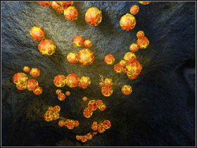 Teraz przygotuj kompot z owoców zielonej i żółtej rośliny (połącz owoce, włóż je do rondla i zagotuj na ogniu) - SIEDZIBA SELENITÓW cz.5 | Journey to the Moon Podróż na Księżyc - Journey to the Moon: Podróż na Księżyc - poradnik do gry