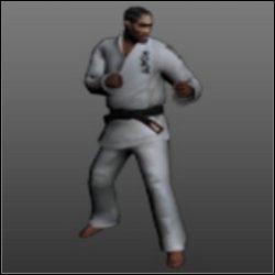 Karate (2 miejsce w kategorii najlepsze) - Sztuki walk (1) | Walka wręcz w True Crime New York City - True Crime: New York City - poradnik do gry