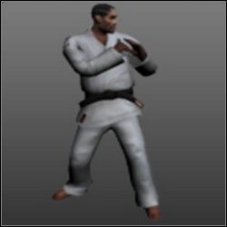 Tae Kwon Do (największy zasięg, generalnie najlepsze) - Sztuki walk (1) | Walka wręcz w True Crime New York City - True Crime: New York City - poradnik do gry