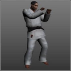 Thai Boxing (najsilniejsze) - Sztuki walk (1) | Walka wręcz w True Crime New York City - True Crime: New York City - poradnik do gry