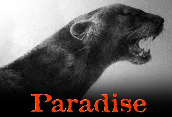 Samolot, którym główna bohaterka gry leci do swojego dawno nie widzianego ojca, zostaje zestrzelony przez rebeliantów - Paradise - poradnik do gry