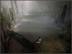 Idź przed siebie, aż trafisz na kolonię zakopanych w piasku zwierzaków, które, jak przeczytasz w książce Ann Smith, nazywają się Palmette, co w wolnym tłumaczeniu może oznaczać płetwiaki - DŻUNGLA | Paradise - Paradise - poradnik do gry