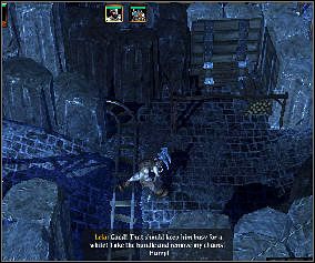 Podprowadź kota do strażnika i każ mu podejść blisko - The Catapults of Underhall - Underhall (2) | Threatened Homelands - Spellforce 2: Czas Mrocznych Wojen - poradnik do gry