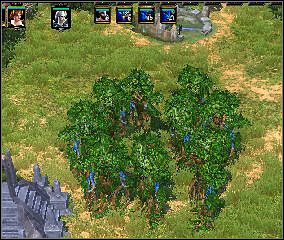 Poświęć liście - Rescue for the Iron Fields - Iron Fields (1) | Threatened Homelands - Spellforce 2: Czas Mrocznych Wojen - poradnik do gry