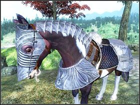 Wariant stalowy - Oblivion: Horse Armor - The Elder Scrolls IV: Oblivion - poradnik do gry