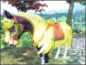 Wariant elficki - Oblivion: Horse Armor - The Elder Scrolls IV: Oblivion - poradnik do gry