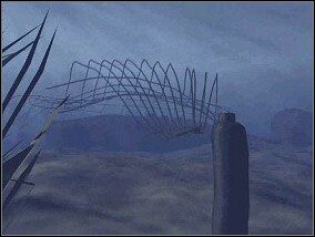 2 - Wyspa cz.2 - Amerzone: Testament Odkrywcy - poradnik do gry