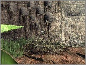 5 - Rzeka - Amerzone: Testament Odkrywcy - poradnik do gry