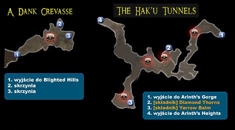 1 - Mapa 05 - A Dank Crevasse, The Haku Tunnels | MAPY | Broken World - Dungeon Siege II: Broken World - poradnik do gry