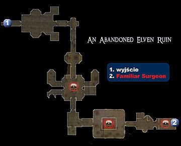 1 - Mapa 16 - An Abandoned Elven Run | MAPY | Broken World - Dungeon Siege II: Broken World - poradnik do gry