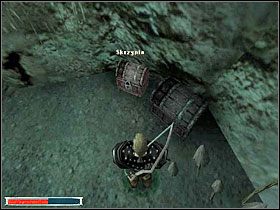 3 - Gniazdo Pełzaczy (5) | Rozdział 2 | Gothic - Gothic - poradnik do gry