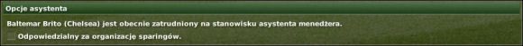 Opcje Asystenta/ Assistant Manager Options - tu decydujemy czy nasz asystent będzie odpowiedzialny za organizowanie meczów towarzyskich - Opcje menedżera - Przygotowania - Football Manager 2007 - poradnik do gry