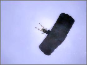 W pierwszej kolejności będziesz musiał odzyskać część ładunku - Sea of Okhotsk (1) | Misja 4.1 w Splinter Cell Double Agent - Tom Clancys Splinter Cell: Double Agent - poradnik do gry