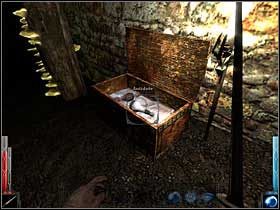 Skrzynia zawiera tradycyjny zestaw podróżny - mikstura lecząca i Antidotum, przydatne przy infekcjach! - Dead Mans Trail (6) | Rozdział 3 | Dark Messiah of Might and Magic - Dark Messiah of Might and Magic - poradnik do gry