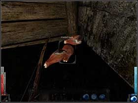 Lecząca szyneczka? Modyfikowana genetycznie? A to ciekawe! - Dead Mans Trail (7) | Rozdział 3 | Dark Messiah of Might and Magic - Dark Messiah of Might and Magic - poradnik do gry