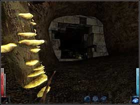 Mur z otworem w środku, wyglądającym jak wybity ciężkim młotem. - Dead Mans Trail (7) | Rozdział 3 | Dark Messiah of Might and Magic - Dark Messiah of Might and Magic - poradnik do gry