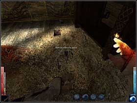 Dokładny przegląd zawartości domku. Parę rzeczy na pewno się przyda! - The Temple of the Spider (13) | Rozdział 5 | Dark Messiah of Might and Magic - Dark Messiah of Might and Magic - poradnik do gry