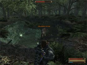 Twoim zadaniem jest zniszczenie grupy Ogrów zamieszkujących pobliską jaskinię - Trelis (2) | Questy | Solucja Gothic 3 - Gothic 3 - poradnik do gry