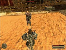 Makas rozkaże Ci udać się poza miasto, odszukać studnie, a następnie wykonać prace zlecone przez dwóch Asasynów pilnujących wody Kafu i Giacomo (opisane jako osobne questy) - Ishtar (2) | Questy | Solucja Gothic 3 - Gothic 3 - poradnik do gry