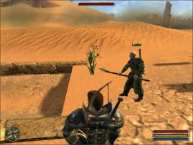 Twój stary druh Lester jest teraz niewolnikiem Orków i pracuje przy przekopywaniu terenu - Wykopaliska Al Shedim (2) | Questy | Solucja Gothic 3 - Gothic 3 - poradnik do gry