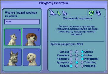 Kiedy zapragniecie mieć psa lub kota, możecie przygarnąć go przez telefon - Poradnik do gry - Jak stać się właścicielem zwierząt? | The Sims 2 Zwierzaki - The Sims 2: Zwierzaki - poradnik do gry