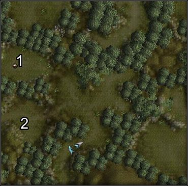 Zaatakuje cię grupa wilków - Highcliff (1) | Akt 1 | Neverwinter Nights 2 - Neverwinter Nights 2 - poradnik do gry