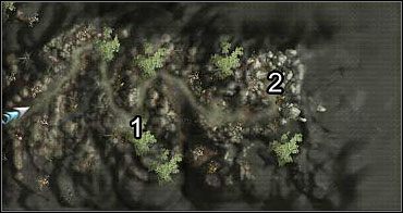 Na początku jaskini czekać na ciebie będzie stary znajomy - mag Githyanki (1) , który zabił Amie na samym początku gry - W pogoni za Githyanki | Akt 1 | Neverwinter Nights 2 - Neverwinter Nights 2 - poradnik do gry