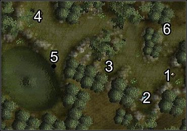 (1) - Siła Byka; (2) - Kolorowa Skóra; (3) - Kocia Zwinność; (4) - Mądrość Sowy - Misje poboczne (3) | Misje poboczne | Neverwinter Nights 2 - Neverwinter Nights 2 - poradnik do gry