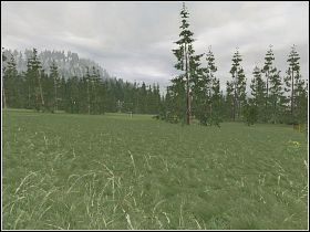 Ta misja to prawdziwa zgroza - Misja 8b - Obóz | ArmA Armed Assault - ArmA: Armed Assault - poradnik do gry