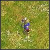 Janczar (Janissary) [II] - Piechota | Jednostki | Age of Empires III The WarChiefs - Age of Empires III: The WarChiefs - poradnik do gry