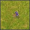 Aenna (Aenna) [II] - Piechota | Jednostki | Age of Empires III The WarChiefs - Age of Empires III: The WarChiefs - poradnik do gry