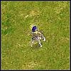 Eagle Runner Knight (Eagle Runner Knight) [III] - Piechota | Jednostki | Age of Empires III The WarChiefs - Age of Empires III: The WarChiefs - poradnik do gry