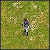 Fusilier (Fusilier) [III] - Piechota | Jednostki | Age of Empires III The WarChiefs - Age of Empires III: The WarChiefs - poradnik do gry