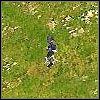 Ninja (Ninja) [III] - Piechota | Jednostki | Age of Empires III The WarChiefs - Age of Empires III: The WarChiefs - poradnik do gry