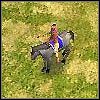 Kanya Horseman (Kanya Horseman) [II] - Kawaleria | Jednostki | Age of Empires III The WarChiefs - Age of Empires III: The WarChiefs - poradnik do gry