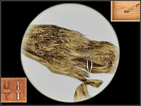 Teraz będziesz musiał dowiedzieć się w wyniku jakiej czynności powstały plamy - Baker Street - Zebrane dowody (1) | Rozdział 1 Sherlock Holmes Przebudzenie - Sherlock Holmes: Przebudzenie - poradnik do gry