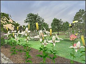 Uwaga - New Orleans - Francuska dzielnica (1) | Rozdział 4 Sherlock Holmes Przebudzenie - Sherlock Holmes: Przebudzenie - poradnik do gry