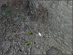 4 - Scotland - Jaskinie (1) | Rozdział 5 Sherlock Holmes Przebudzenie - Sherlock Holmes: Przebudzenie - poradnik do gry