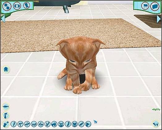 Pozycja wyjściowa - Tresura cz.4 | Tresura | Catz - Catz (2006) - poradnik do gry