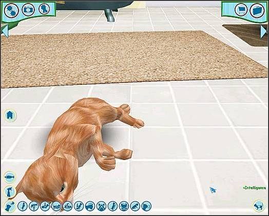 Pozycja wyjściowa - Tresura cz.4 | Tresura | Catz - Catz (2006) - poradnik do gry