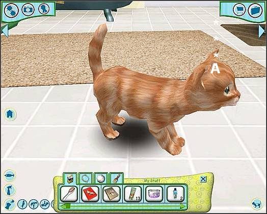 Pozycja wyjściowa - Tresura cz.3 | Tresura | Catz - Catz (2006) - poradnik do gry