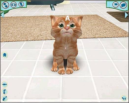 Pozycja wyjściowa - Tresura cz.3 | Tresura | Catz - Catz (2006) - poradnik do gry