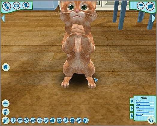 Pozycja wyjściowa - Tresura cz.2 | Tresura | Catz - Catz (2006) - poradnik do gry